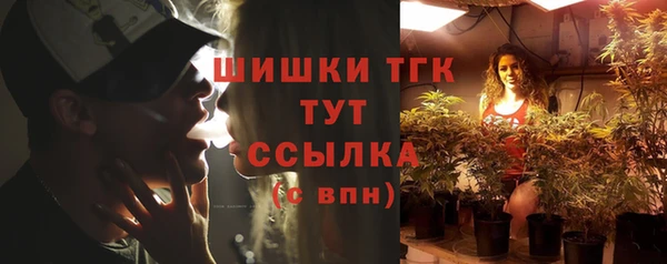 твердый Горно-Алтайск