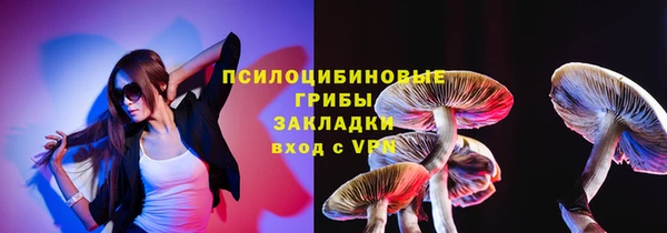 хмурый Гусев