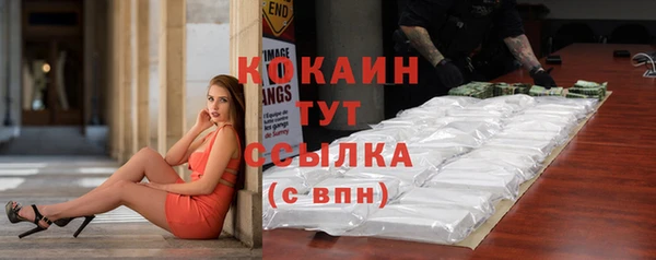 тгк Горняк