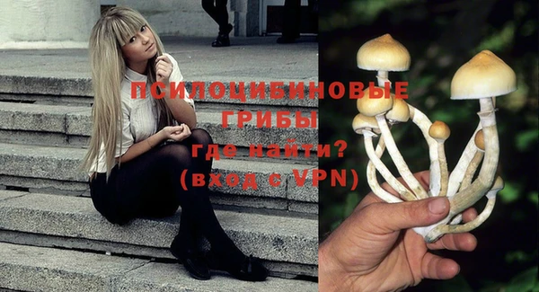 тгк Горняк