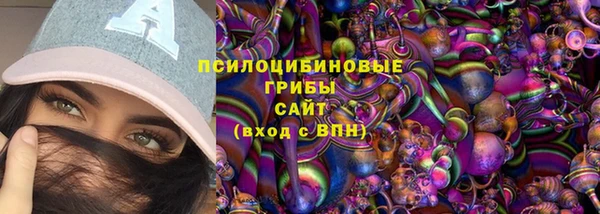 дживик Вязники